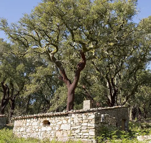 Casa Do Ze Sapateiro בית הארחה Ferraria de São João