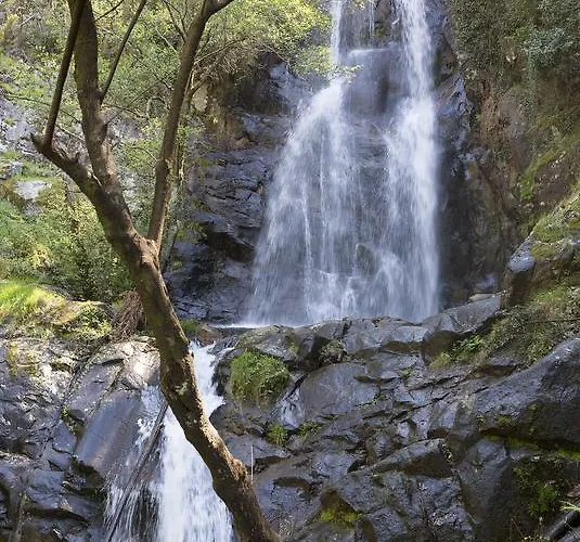 בית הארחה Casa Do Ze Sapateiro 3*