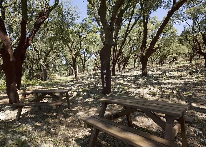 Casa Do Ze Sapateiro בית הארחה 3*