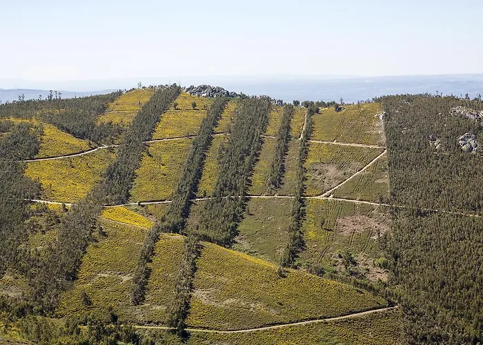 בית הארחה Casa Do Ze Sapateiro Ferraria de São João